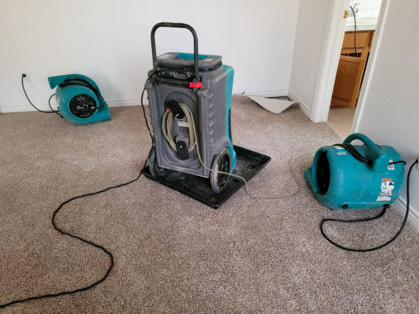 Best Ceiling water damage repair  in Charlestown, MD