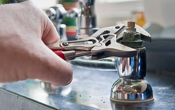 Best Mold removal after water damage  in Charlestown, MD