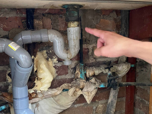 Best Flooded house restoration  in Charlestown, MD