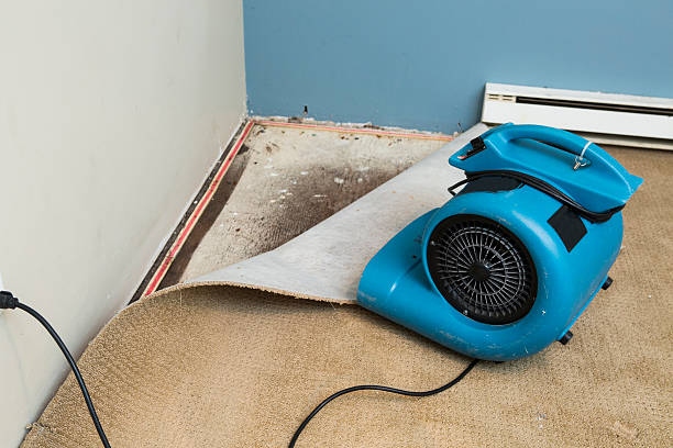  Charlestown, MD Water damage restoration Pros